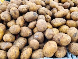 Pile of Freshly Harvested Potatoes in Market Set