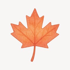 Obraz premium Vibrant autumn maple leaf illustration.