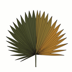 A vibrant, stylized illustration of a tropical palm leaf, showcasing a unique split design with contrasting earthy green and golden hues, isolated on white.