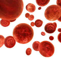 Fototapeta premium Red blood cells floating in clear space illustrating their vital role in human circulation and oxygen transport
