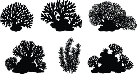 Coral Reef Silhouette Vector Set Black Seaweed Silhouettes on transparent background