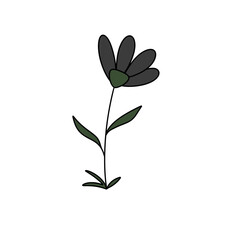 A black flower with green leaves