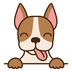 Boston terrier dog with its tongue out