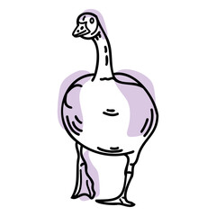 Color stroke semi colored walking goose