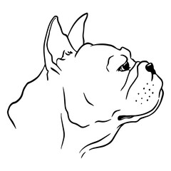 Elegantly simple outline of a dog's profile