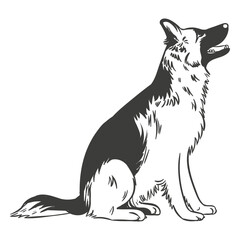 German shepherd sitting hand drawn dog