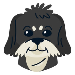 Havanese illustration