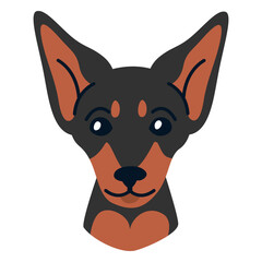 Miniature pinscher illustration