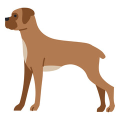 Stylized cartoon dog illustration