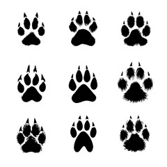 a set of cat paws on a white background, vector image.