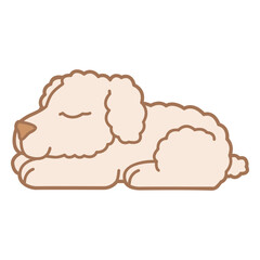 White dog sleeping