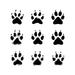 a set of cat paws on a white background, vector image.
