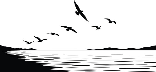 Seagulls Flying Over the Ocean Silhouette on Transparent Background silhouette illustration seagulls flying over ocean The image features transparent background making easy for designers integrate © rabbivay