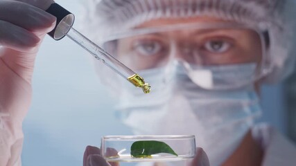 Laboratory researcher wearing protective mask and goggles using dropper to pour oil onto green leaf in petri dish during scientific experiment. Close-up shot - Powered by Adobe