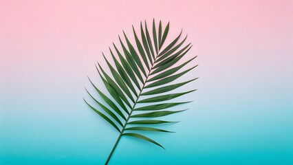 Obraz premium Tropical Palm Leaf Aesthetic: Green Frond on Pastel Gradient Background for Creative Design Projects.
