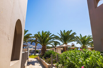 Sunny hotel garden with tall palm trees and blooming oleander bushes against mountain landscape and...
