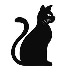 black cat on white background