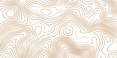 Topographic map lines, contour background. Background of the topographic map. Image grid geographic relief topographic contour line maps cartography texture