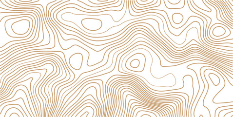 Topographic map lines, contour background. Background of the topographic map. Image grid geographic relief topographic contour line maps cartography texture