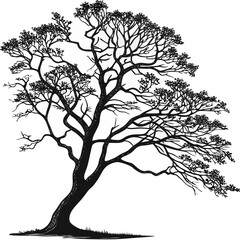 tree silhouette vector