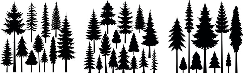 Silhouette of Evergreen Trees Set on White Background,Pine fir tree tall tree isolated premium vector image, black and white tree silhouettes,coniferous trees, pine trees,fir trees silhouettes set,Ai