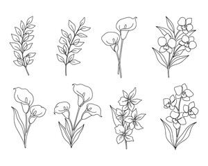 Elegant floral line art collection featuring delicate leaves calla lilies and orchids botanical illustrations for wedding designs and minimalistic art projects