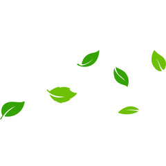 Floating Green Leaves A Symbol of Nature, Growth, and Renewal on White Background