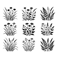 Black silhouette wild grass and fern vector set, botanical plant clipart bundle for nature illustration, floral decoration, eco design, digital cut file for crafts, stickers, logos, wall art