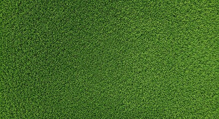 Close up aerial view of vibrant green grass with a small brown patch