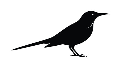 Bee eater bird perched in silhouette illustration perfect for wildlife, nature, and ornithology designs Vector illustration on white background.