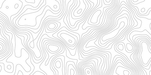 Image grid geographic relief topographic contour line maps cartography texture. Topographic map lines, contour background. Background of the topographic map. 