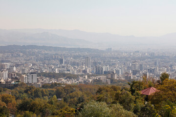 City view and green trees. Polluted urban air . 