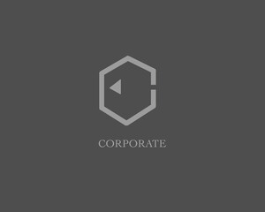 Corporate Hexagon Logo with Abstract Element