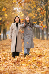 Portrait of two beautiful young twin sisters in an autumn park.