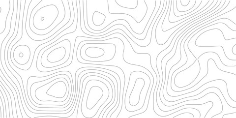 Vector illustration.The stylized height of the topographic map in contour, lines. The concept of a conditional geography scheme and the terrain path. Design materials. Print image.