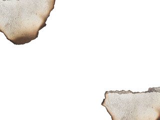 Distressed parchment edges create an antique feel, perfect for vintage designs or adding aged...