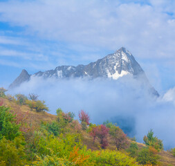 green mountain valley covered by a forest in dense mist and clouds
