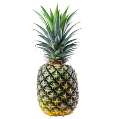 Fototapeta premium Vivid close-up of whole tropical pineapple. Green crown. Textured surface. Isolated on black