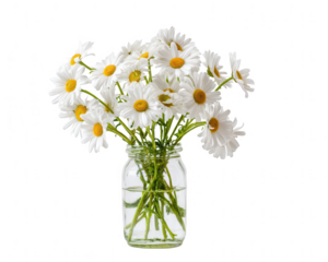 A bouquet of daisies in a glass vase, jpeg, png, transparent