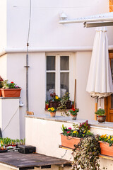 Rural yard with flowering plants