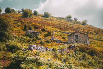 Rustic stone huts on a colorful hillside covered in green ferns and autumn vegetation, with...