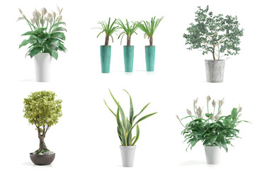 Fototapeta premium Variety of potted indoor plants on white background.