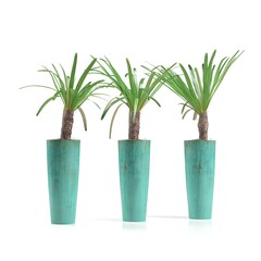 Three potted plants in teal cylindrical vases