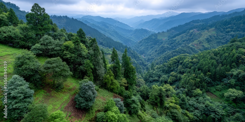 Poster lush green mountain range with trees and a cloudy sky. the mountains are covered in trees and the sk