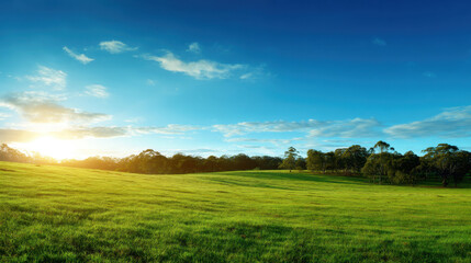 Obraz premium Serene landscape featuring vast green field under clear blue sky, illuminated by warm glow of setting sun. scene evokes sense of tranquility and natural beauty