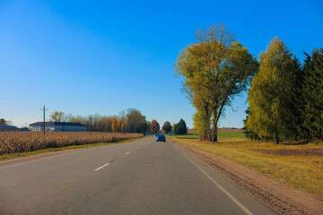 Fototapeta premium Autumn landscape, road and highway, asphalt and roadside.