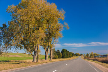 Fototapeta premium Autumn landscape and sunny evening, orange road and highway, asphalt and roadside.