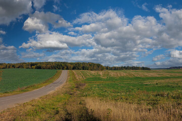 Obraz premium Autumn landscape and sunny evening, orange road and highway, asphalt and roadside.