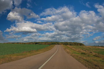 Autumn landscape and sunny evening, orange road and highway, asphalt and roadside.