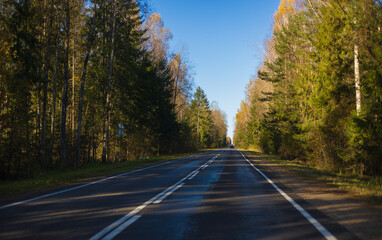 Fototapeta premium Autumn landscape and sunny evening, orange road and highway, asphalt and roadside.